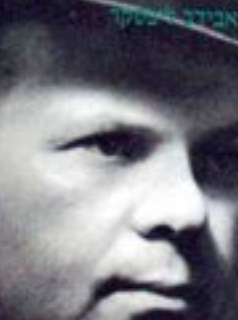 Joshua Pelleg