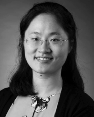 Qin ma