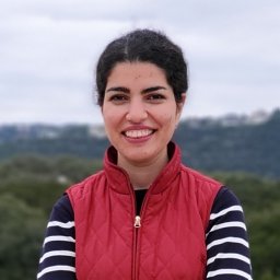 Nasrin Razmjooei