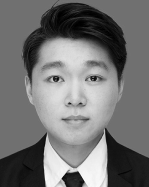 Minglei Li