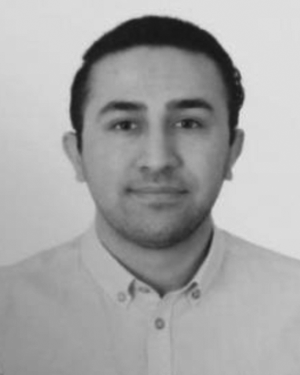 Ali Ebadi Torkayesh