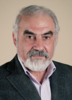 Gregory N. Goltsman