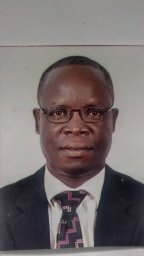 Wilfred N. Igboama