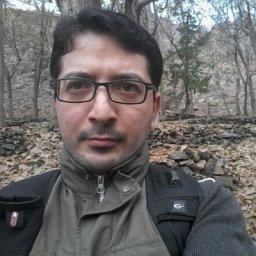 Hamidreza Jafarian