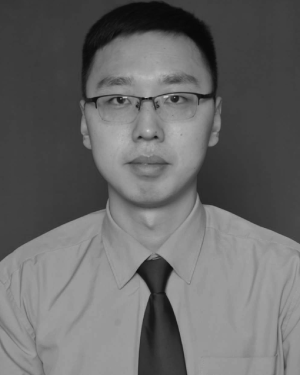 Lei Pu
