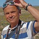 Otto Wildi