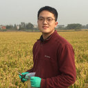 Xu Fang