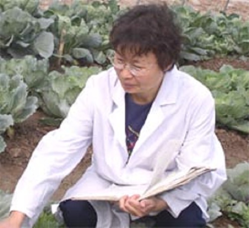 Yuying Zhu