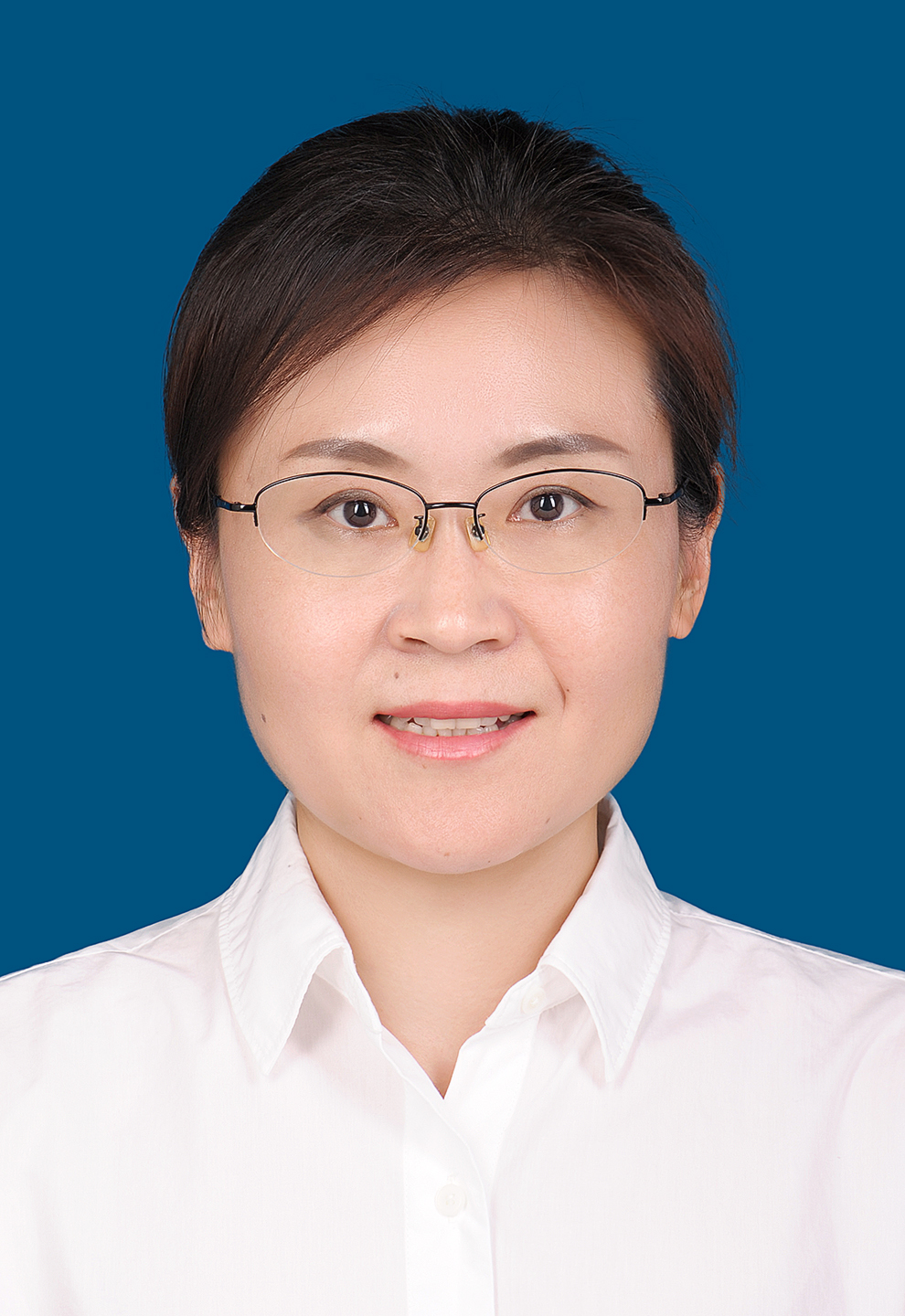 Lun Li