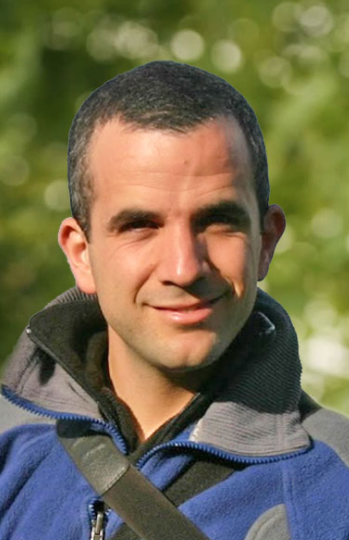 Roy Wollman