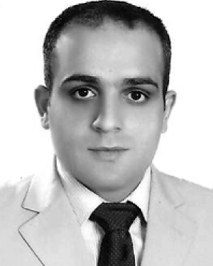 Maher Soueidan