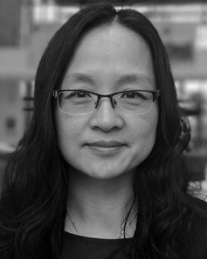 Yingli Wang