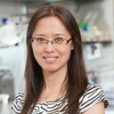 Xiuyan Wang