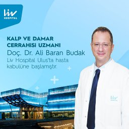 Ali Baran Budak