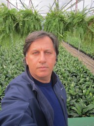 Ali R. Alan