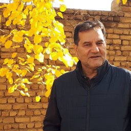 Daneshmandi Hassan