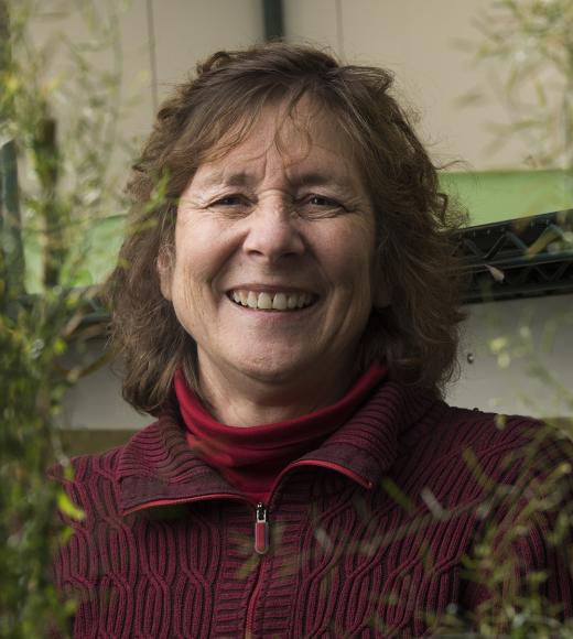 Judy Callis