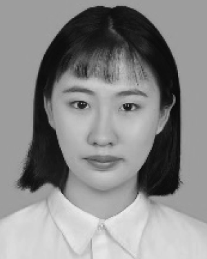 Jin Meng