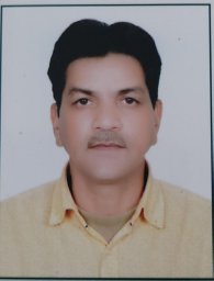 Bhatt Jay P
