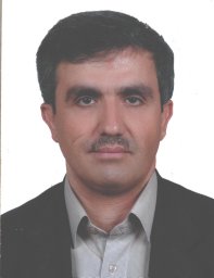 N Harzandi