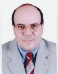 Mohei El-Din Solliman Solliman