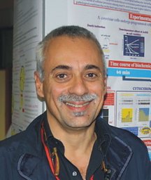 Sergio Giannattasio