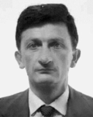 Bava, Elio