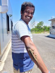 Mani Kannan