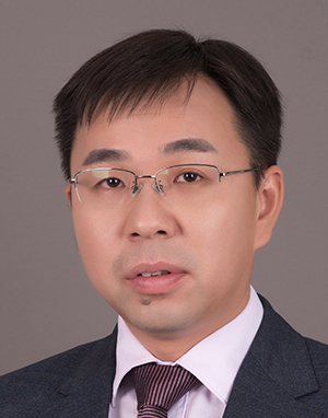 Haiping Zhu