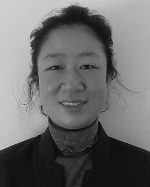 Dan JIA