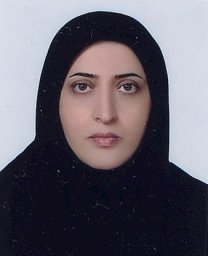 Hamideh Herizchi Ghadim