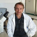 Andrea Guidarelli