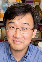 Dennis Kim