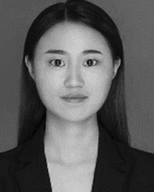 Qianqian Han