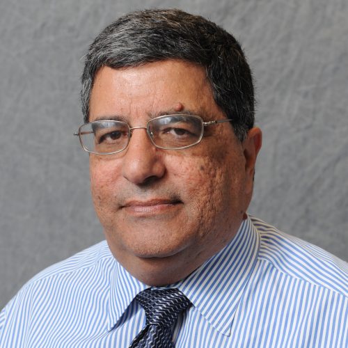 Nagui M. Rouphail