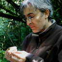 Santi Guallar