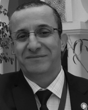 Samir Bouaziz
