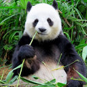 Haipeng Zhang