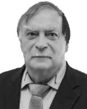 v i korochentsev