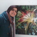Khadija El Maalam