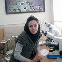 Sara Karami