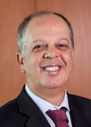 Paulo Manuel Pêgo-Fernandes