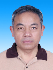 Daigang Yang