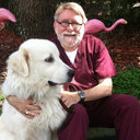Ron Mervis
