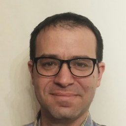 Perlman Amichai