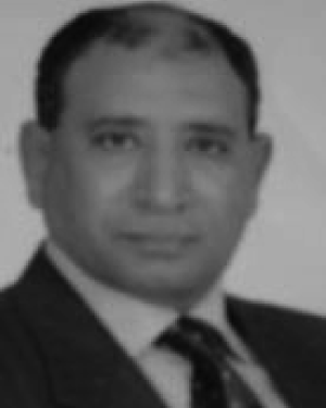Salah S. Elagooz