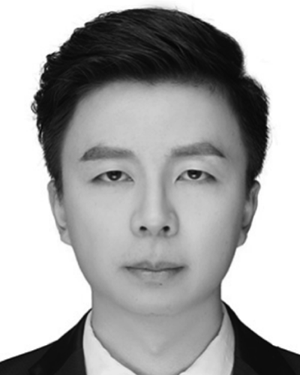 Lingyu Wang
