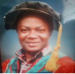 p a okpechi