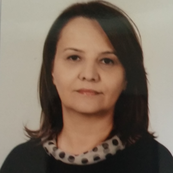 Fulya Altiparmak Baykoç