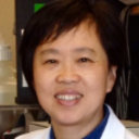 Qiuling Wang